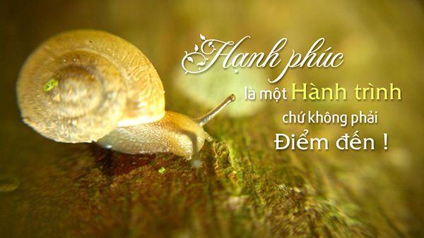 hoc-chung-khoan-hanh-phuc2