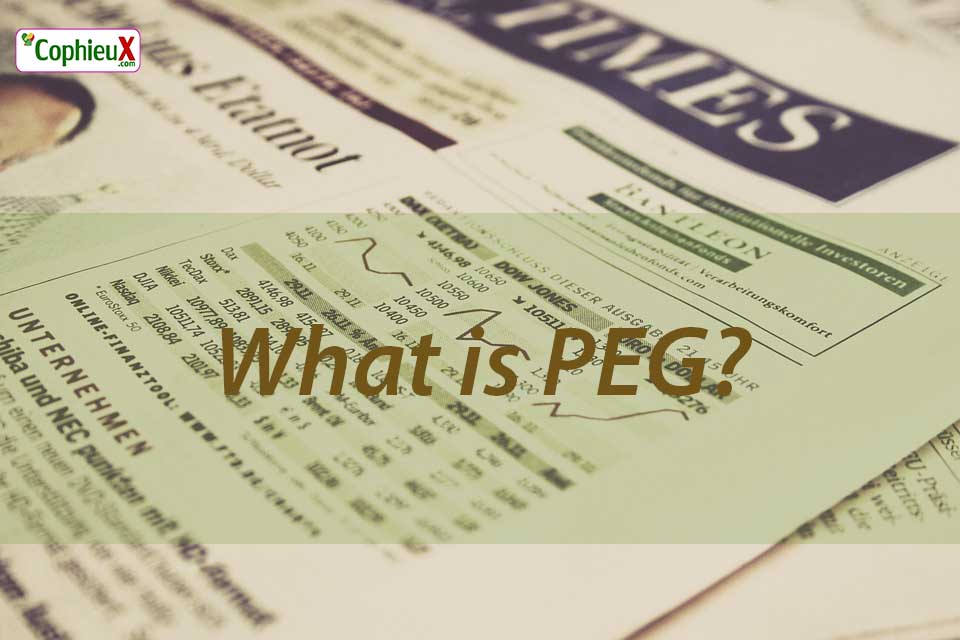 Chỉ số PEG là gì?