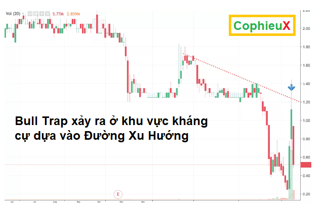 Bay-tang-gia-Bull-trap