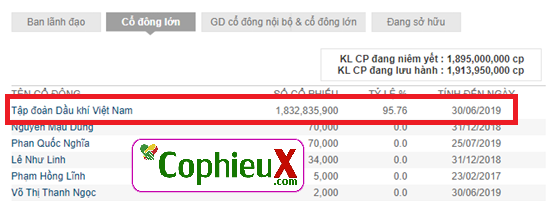 Co-dong-lon-la-gi-301019-GAS