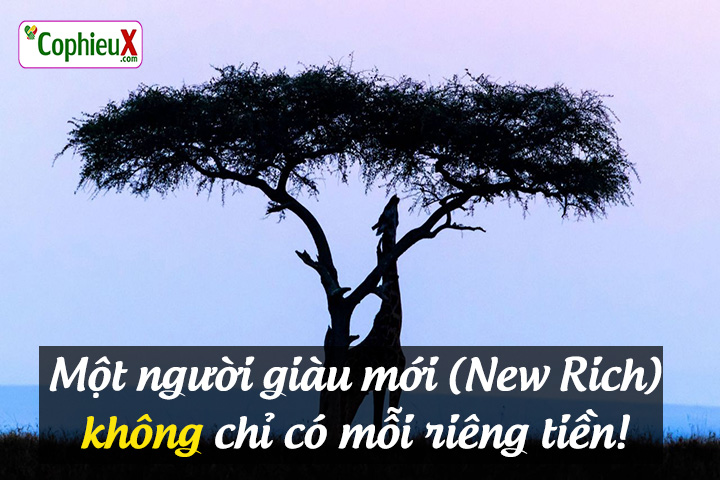 new-rich-nguoi-giau-moi