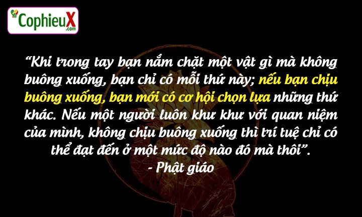 Danh-ngon-ve-su-lua-chon-12203-Phat-giao