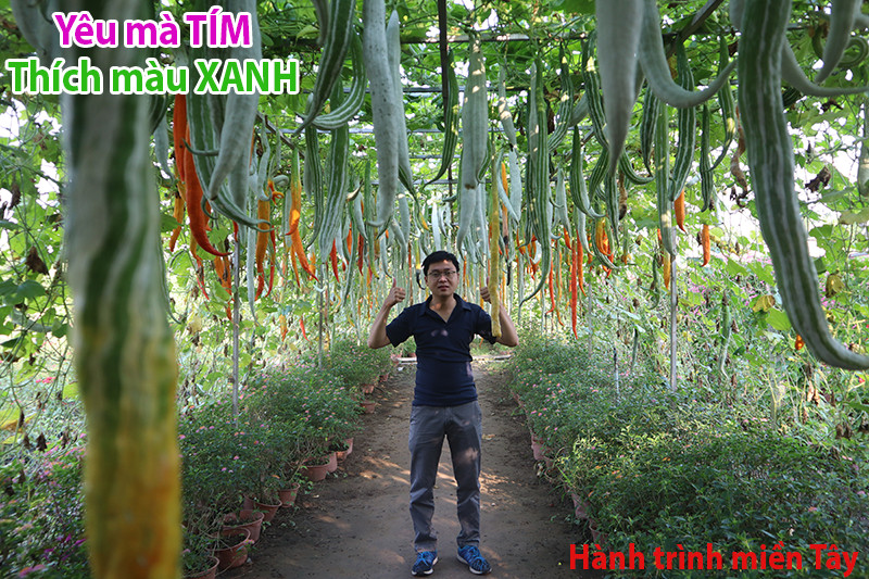 Hanh-trinh-mien-Tay-cac-mau-sac-trong-chung-khoan