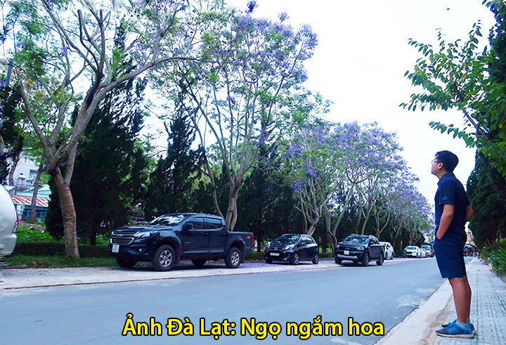 Sống tối giản để đi được nhiều hơn Ngo-dang-du-lich-Da-Lat