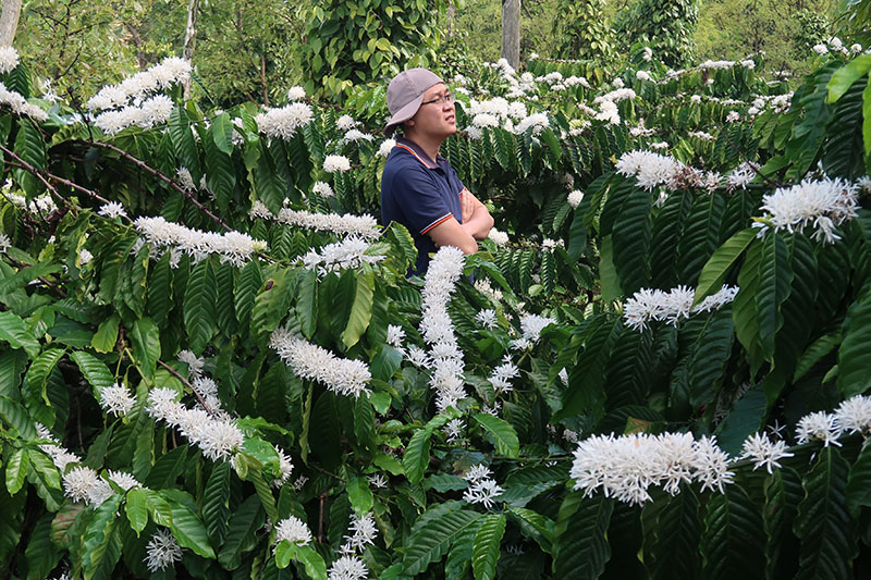 Du-lich-xuyen-viet-5