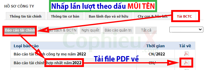 Cafef-3-Cach-de-tim-bao-cao-tai-chinh-nhanh-chong